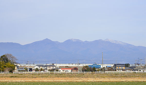 売却依頼でお困りの同業者・士業の方へ